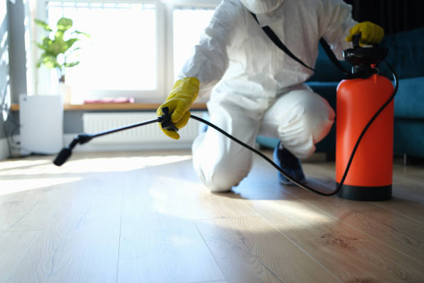 Reliable Biohazard Cleanup contractor in California City, CA by Crime Scene Cleaner Online